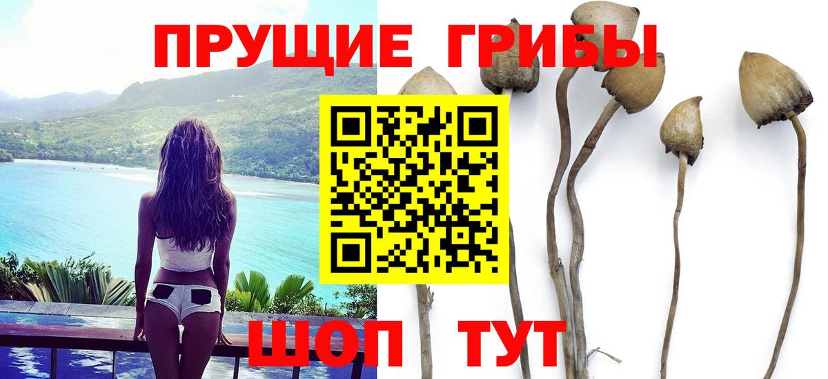 Псилоцибиновые грибы мицелий  Вход с VPN  Октябрьский 